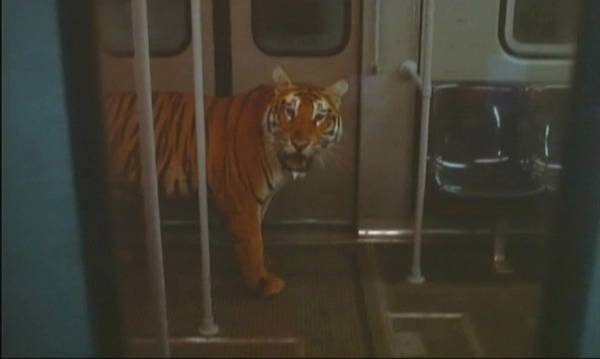 1,000頭の猛獣が大都会で殺戮と破壊の限りを尽くす！ 映画「猛獣大脱走」 4月26日（水）夕方6時～BS12 トゥエルビで放送