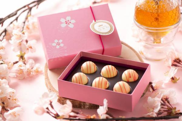 国産 桜はちみつが香るチョコレートやフィナンシェが登場！老舗はちみつメーカー直営「パティスリーQBG」にて春季限定販売【エキュート品川店・築地店】
