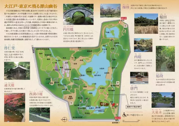 小石川後楽園「日本茶のおいしいいれ方教室」　1月29日（日）開催