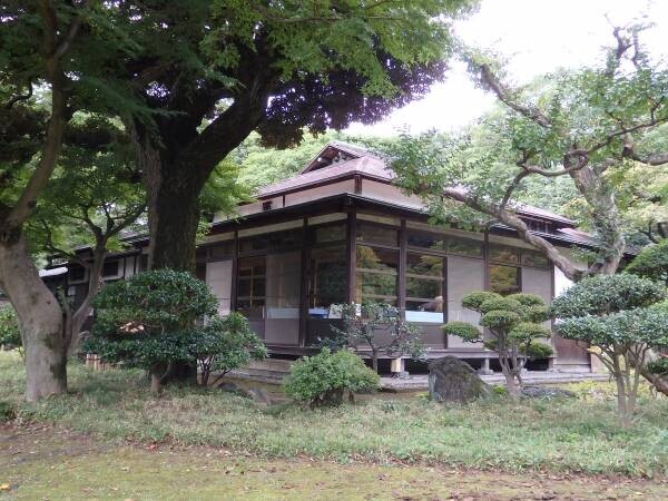 小石川後楽園「日本茶のおいしいいれ方教室」　1月29日（日）開催