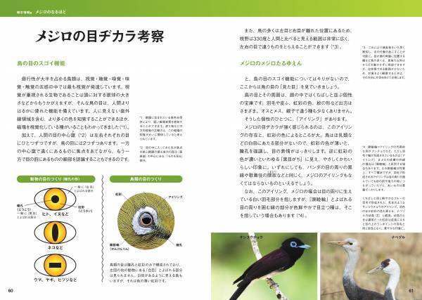 日本人が愛してきた野鳥、メジロの世界を大解剖！『にっぽんのメジロ』7月18日公開