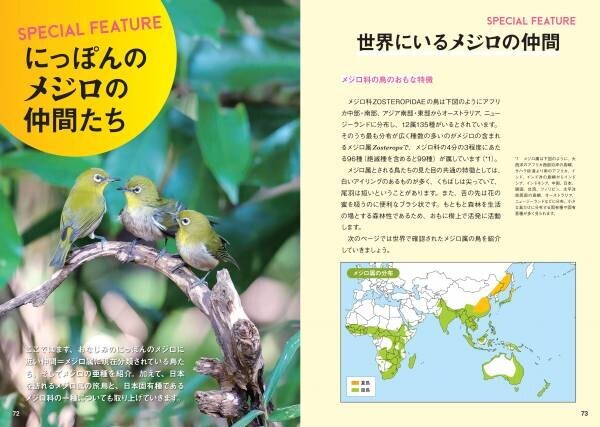日本人が愛してきた野鳥、メジロの世界を大解剖！『にっぽんのメジロ』7月18日公開