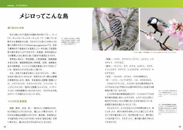 日本人が愛してきた野鳥、メジロの世界を大解剖！『にっぽんのメジロ』7月18日公開