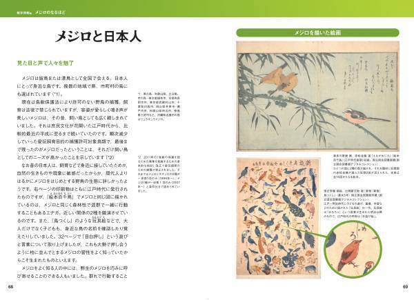 日本人が愛してきた野鳥、メジロの世界を大解剖！『にっぽんのメジロ』7月18日公開