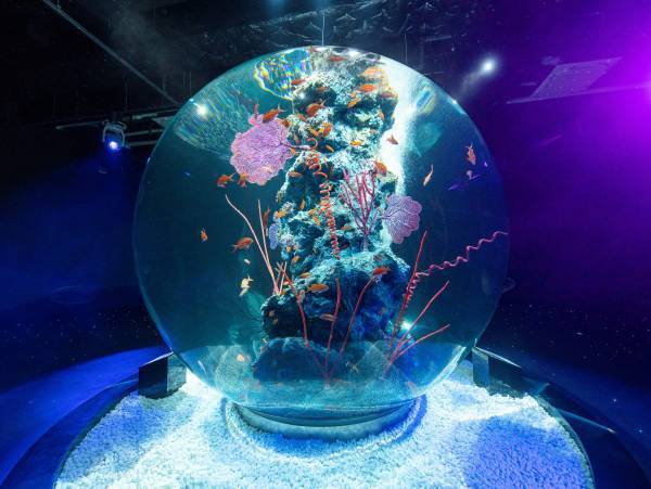 育児を頑張るご家族同士の交流やリフレッシュの場 第2回「マナカイママフェスタat京阪シティモール（天満橋）」を開催