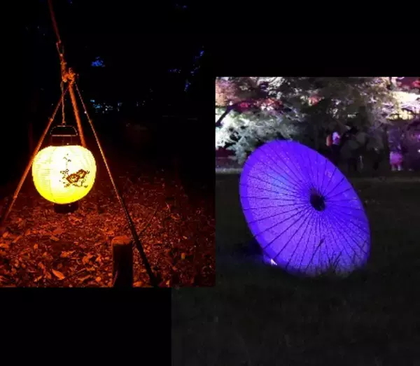 【小石川後楽園】夜間特別開園～灯りと笑いで福招き～開催！