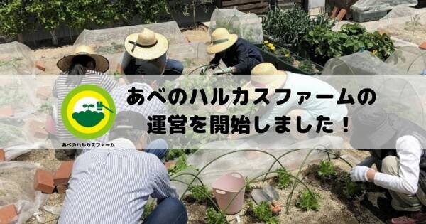 日本一高いあべのハルカスの貸農園をマイファームがリニューアル！ 自然と共に過ごす新しいライフスタイルをはじめませんか？