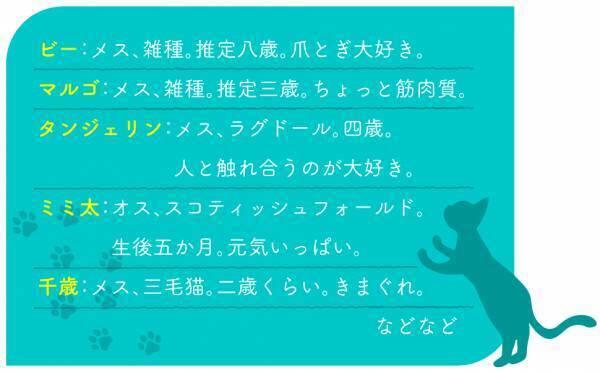 愛くるしい猫の書影でジャケ買いする人も！石田祥さん著『猫を処方いたします』好評6刷り重版！