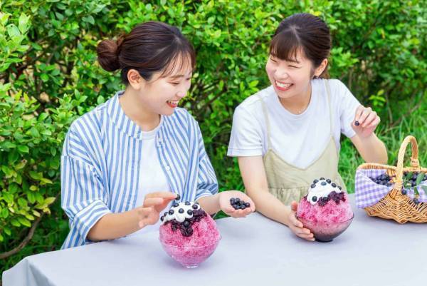 【BEB5土浦】摘み立てブルーベリーかき氷でさわやかに過ごすアクティビティ「Very Berryブルーベリーかき氷サイクリング」開催～特製の氷を自転車に積んで農園までサイクリング！～｜期間：2023年7月1日〜8月14日