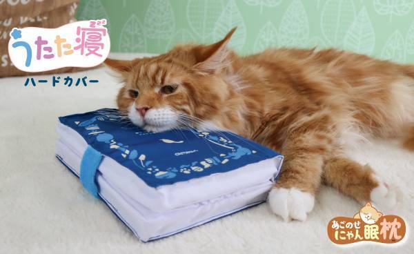 【猫ちゃんも枕を選ぶ時代】猫ちゃんお好みの枕でより快適な「にゃん眠ライフ」を！高さやわらかさなどで選べる猫ちゃん枕シリーズ『あごのせにゃん眠枕』２月20日にて新発売！