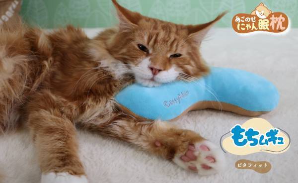 【猫ちゃんも枕を選ぶ時代】猫ちゃんお好みの枕でより快適な「にゃん眠ライフ」を！高さやわらかさなどで選べる猫ちゃん枕シリーズ『あごのせにゃん眠枕』２月20日にて新発売！