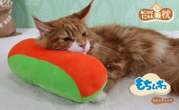 【猫ちゃんも枕を選ぶ時代】猫ちゃんお好みの枕でより快適な「にゃん眠ライフ」を！高さやわらかさなどで選べる猫ちゃん枕シリーズ『あごのせにゃん眠枕』２月20日にて新発売！