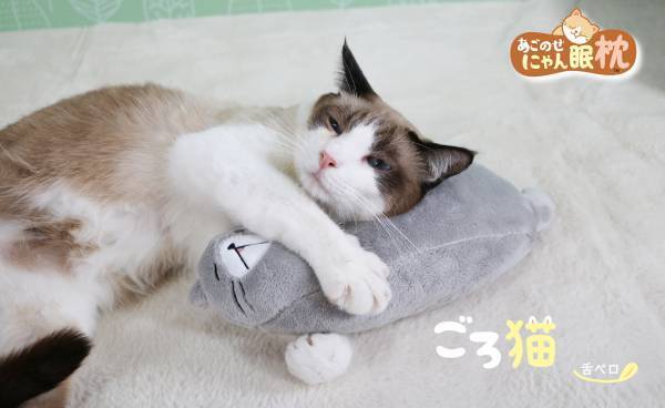 【猫ちゃんも枕を選ぶ時代】猫ちゃんお好みの枕でより快適な「にゃん眠ライフ」を！高さやわらかさなどで選べる猫ちゃん枕シリーズ『あごのせにゃん眠枕』２月20日にて新発売！