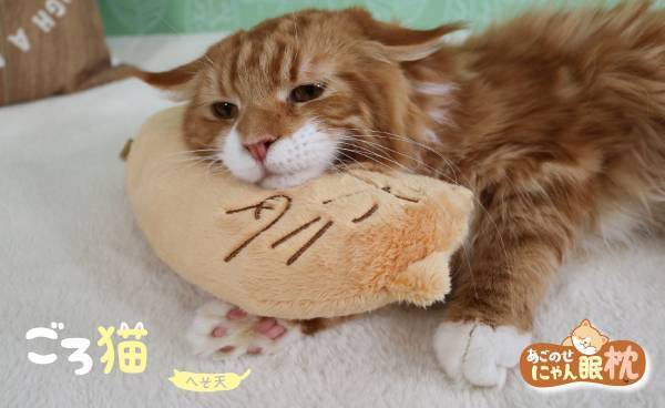 【猫ちゃんも枕を選ぶ時代】猫ちゃんお好みの枕でより快適な「にゃん眠ライフ」を！高さやわらかさなどで選べる猫ちゃん枕シリーズ『あごのせにゃん眠枕』２月20日にて新発売！