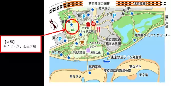 【2/3（土）・2/4（日）】約5万7千球のスイセンが咲き誇る！葛西臨海公園「水仙まつり」を開催します