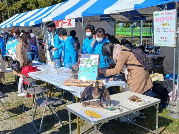 【2/3（土）・2/4（日）】約5万7千球のスイセンが咲き誇る！葛西臨海公園「水仙まつり」を開催します