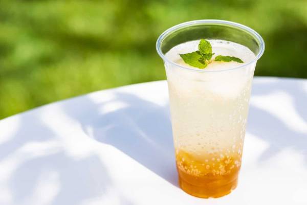 【軽井沢星野エリア】新緑の軽井沢でリフレッシュ！心地よく身体を動かすイベント「軽井沢 森の心身調律」を開催～野外のフィットネスジムに2種類のエリアとプログラムが登場＆イベント限定ドリンクを販売～｜期間：2023年5月12日～6月4日