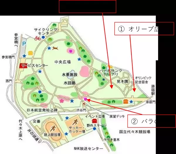 代々木公園　野外工房「フォトフレームを作ろう！」開催