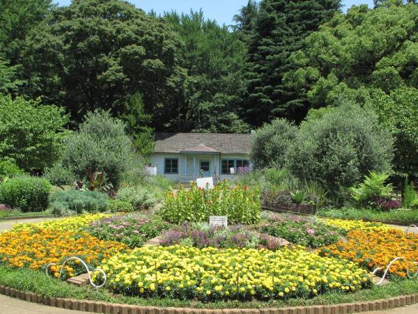 代々木公園　野外工房「フォトフレームを作ろう！」開催