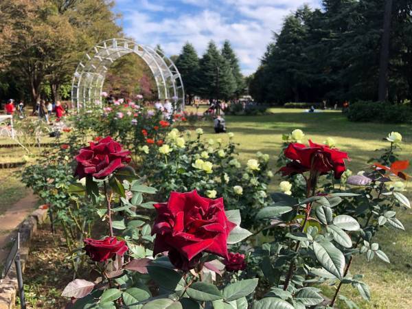 代々木公園　野外工房「フォトフレームを作ろう！」開催