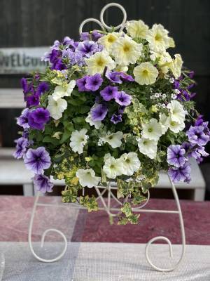 季節の花のオリジナル寄せ植え年４回定期便発送　４月１日 よりサービス開始