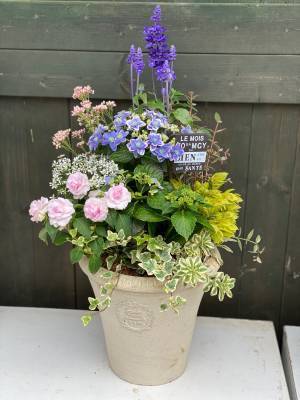 季節の花のオリジナル寄せ植え年４回定期便発送　４月１日 よりサービス開始