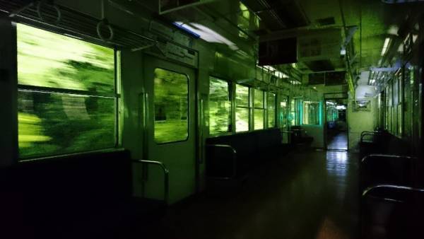 5月3日（水・祝）に「新緑のライトアップ特別列車」を運行します