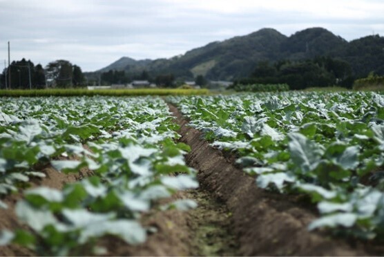安心してチャレンジできる南相馬市で農業を！ 農業人材育成に向けて南相馬市とマイファームが 連携協定を締結し、新しい学校を開校