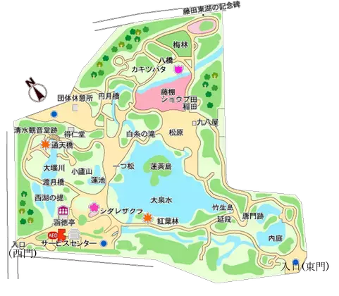 【小石川後楽園】「ヒガンバナ」が咲き始めたことをお知らせします