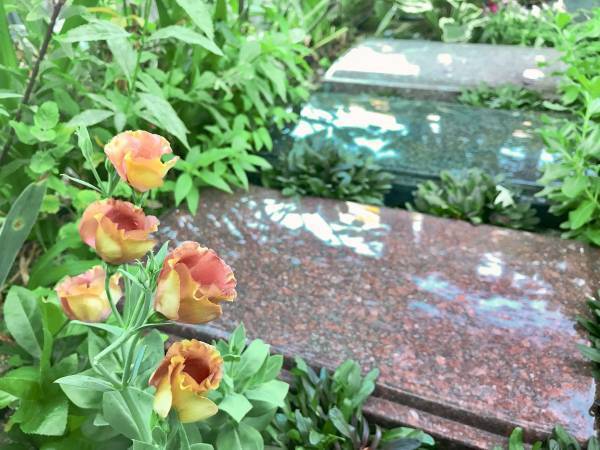 【永代供養合同墓もご案内開始】 京都の樹木葬 「西陣庭苑」「上京庭苑みのり」自由見学会開催