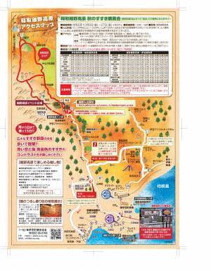 125haのすすき野原が秋風に揺れ、黄金色に輝く「稲取細野高原 秋のすすき観賞会」が今年も開催！【東伊豆町】