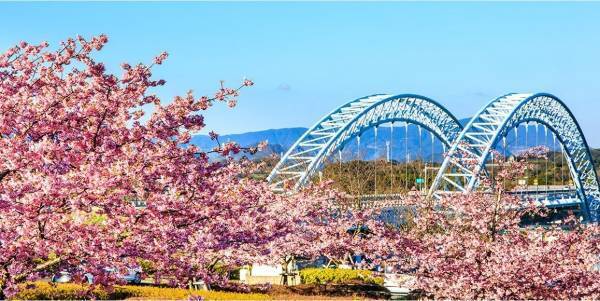 楽天トラベル ＜ブロンズアワード 2022＞＜日本の宿アワード 2022＞ダブル受賞の宿、大江戸温泉物語 【長崎ホテル清風】と【西海橋コラソンホテル】で楽しむ春のまんぞくバイキングとお花見情報