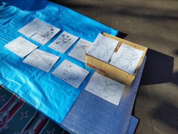 桜ヶ丘公園　SATOYAMAアウトドアライフ　2月は12日（日）開催です！