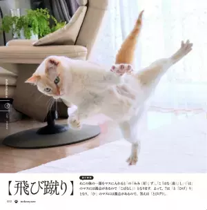 ねこと謎があわせて楽しめる、癒し系謎解き本登場！ 『ねこ謎（ねこにゃぞ）』2023年7月22日(土)発売