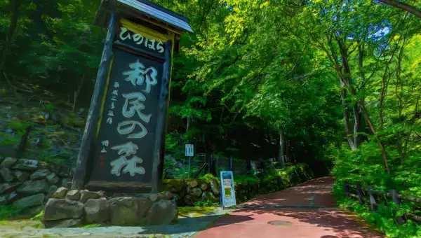 学園生活コミュニティ「キャラフレ」｜『檜原村都民の森・ブナの路』ハイキングイベントのお知らせ