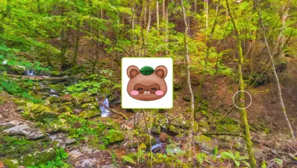 学園生活コミュニティ「キャラフレ」｜『檜原村都民の森・ブナの路』ハイキングイベントのお知らせ