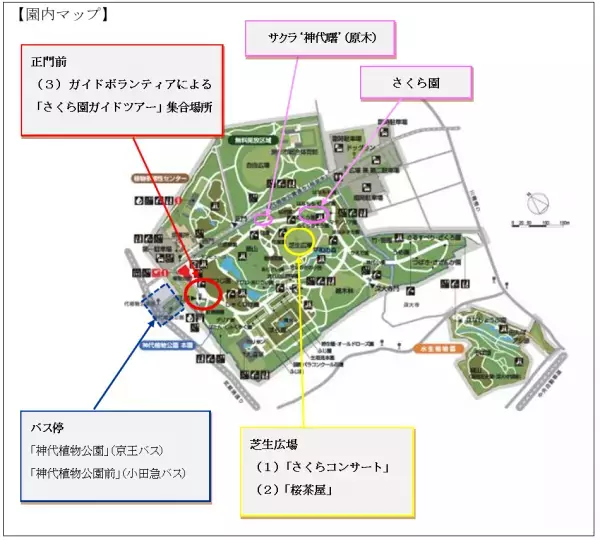 【3月22日一部更新】神代植物公園「さくらまつり」のお知らせ　≪3月25日（土）～4月9日（日）≫