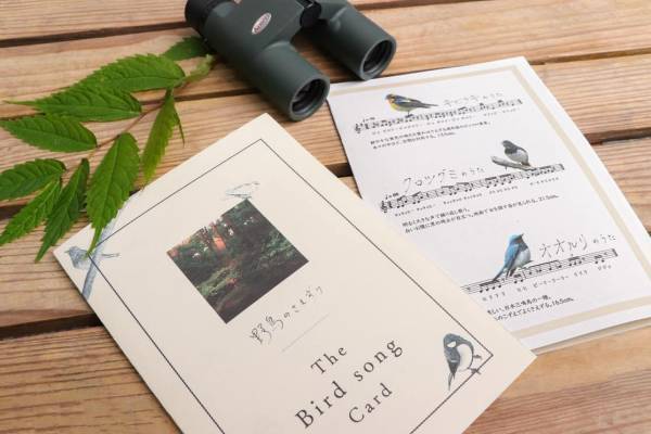 【ピッキオ】～野鳥の宝庫・軽井沢野鳥の森で、くつろぎの時間を過ごす～夕暮れ時に野鳥の歌と姿を堪能するツアー「春の森さえずりコンサート」を開催｜実施日：2023年5月1日～31日