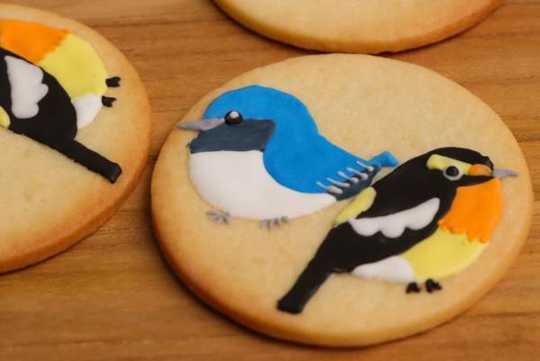 【ピッキオ】～野鳥の宝庫・軽井沢野鳥の森で、くつろぎの時間を過ごす～夕暮れ時に野鳥の歌と姿を堪能するツアー「春の森さえずりコンサート」を開催｜実施日：2023年5月1日～31日