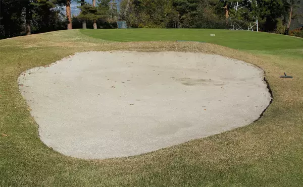 「ゆめきぼ切符キャンペーン」を開催【相模鉄道・相鉄ステーションリテール】