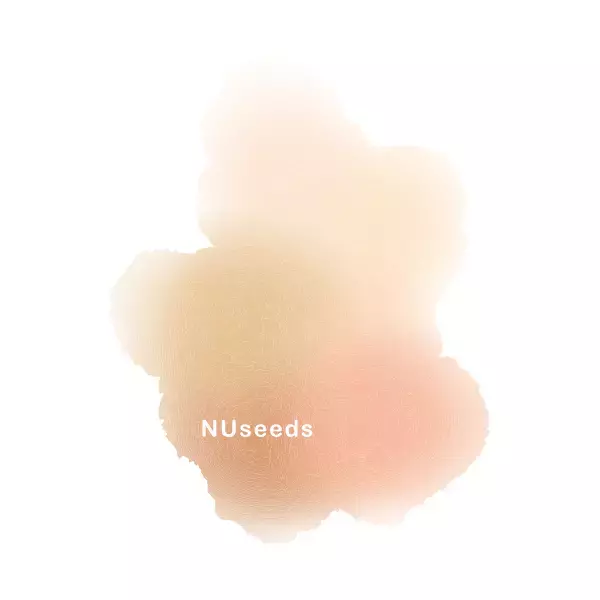 女性を応援するブランドが集結！大阪心斎橋の展示会場〈イマジンアンドデザイン〉にて3月5日（日）『Happy MIMOSA Market2023』を開催します