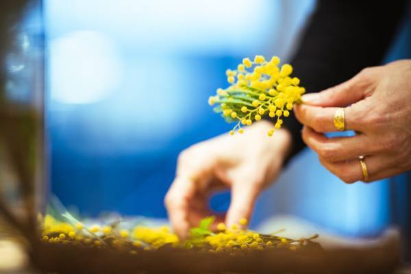 女性を応援するブランドが集結！大阪心斎橋の展示会場〈イマジンアンドデザイン〉にて3月5日（日）『Happy MIMOSA Market2023』を開催します