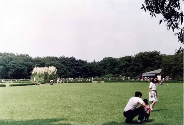 【神代植物公園】巨大なパンパスグラスが見ごろを迎えたことをお知らせします