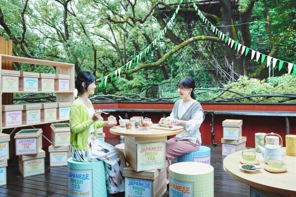 【リゾナーレ熱海】 お茶どころの静岡で新茶を楽しく味わう 「新茶ジェラートパーティー」開催 ～みんなでパーティー気分！冷たいプレートで好みのジェラートを作ります～ 期間：2023年4月22日～5月31日