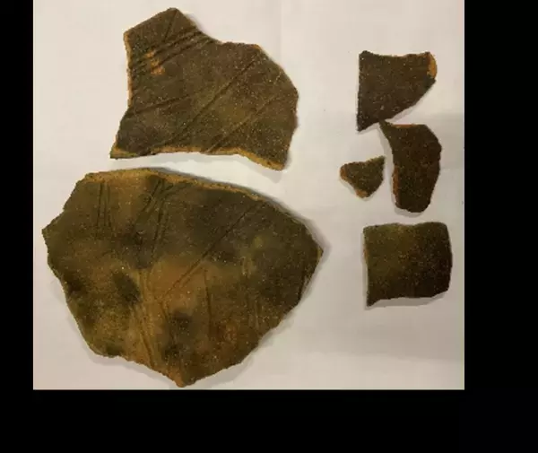 旧岩崎邸庭園　芝庭復元工事完了記念「旧岩崎邸で楽しむ特別な四日間」　令和5年11月23日（木・祝）～11月26日（日）開催！