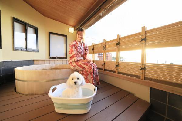 ワンちゃんと泊まれる宿がDOGフォトコンテスト開催 ＜2023年7月31日まで＞雨の日の楽しさをお届け