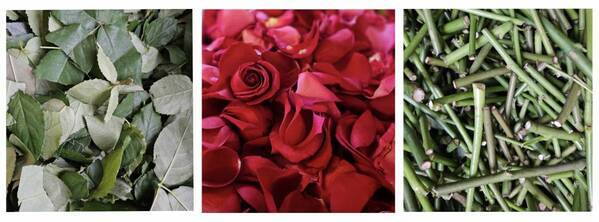 【イベントレポート】大人も子どもも心躍るサスティナブルなアート体験を｜ローズギャラリーが贈る体感型UPCYCLE ARTWORKイベント