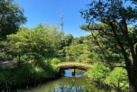 7月27日(土)から都立9庭園「夏のいい庭(28)キャンペーン！」～今年の夏は、緑豊かな庭園へ！～