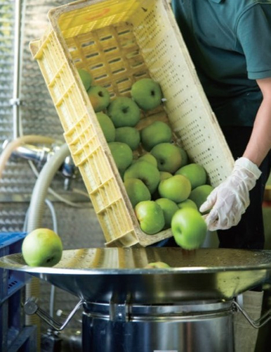 ＼日本で唯一の受賞！／サンクゼールのシードルが国際ワインコンクール「第18回フェミナリーズ世界ワインコンクール」にて銀賞を受賞！日本の企業では唯一の入賞【サンクゼール】