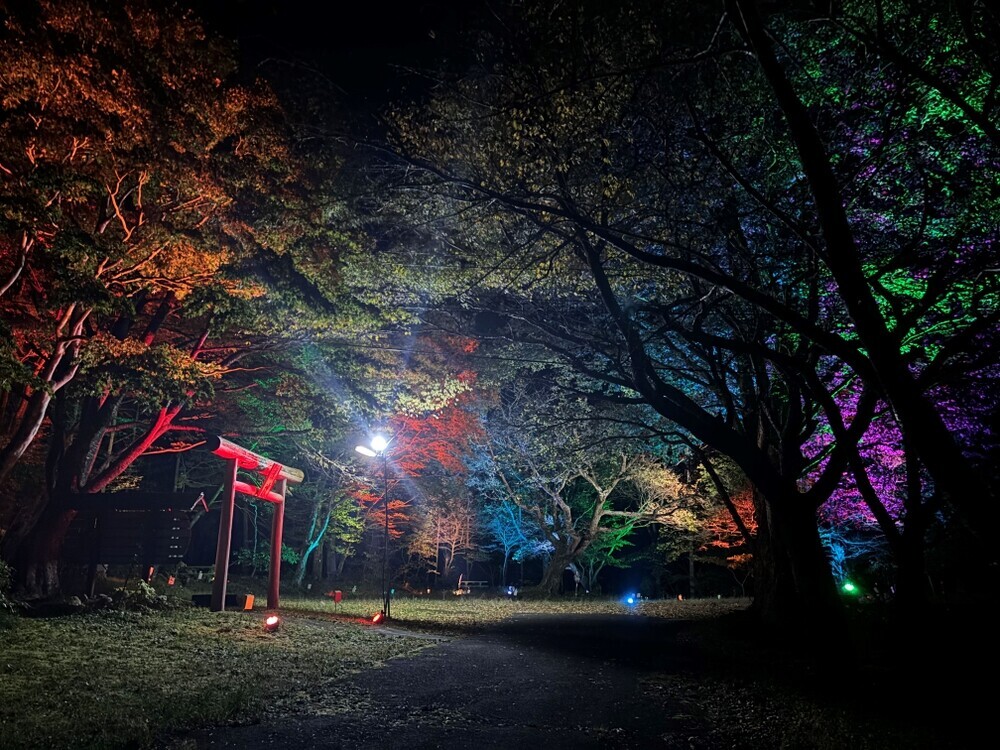 紅葉を楽しむ秋の夜！仙台・作並温泉「湯神神社ライトアップナイト」で心癒される体験を